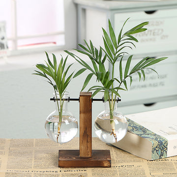 Glass Vase Vase Wooden Frame Hydroponic Vase Green Dill Plant Transparent |Trend Tech Depot