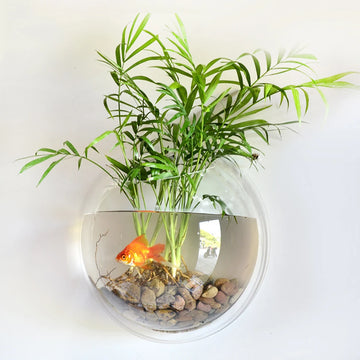 Fish Bowl Wall Hanging Fish Tank Pet Products Wall Mount Betta Fish Home Decor |Trend Tech Depot