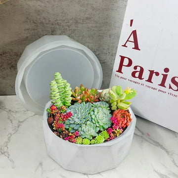 Diamond Shape Concrete Vase Silicone, Plaster Succulent Flower Pot Mold | Trend Tech Depot