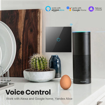 Smart Switch Alexa No Neutral Control Works Alexa Technology |Trend Tech Depot